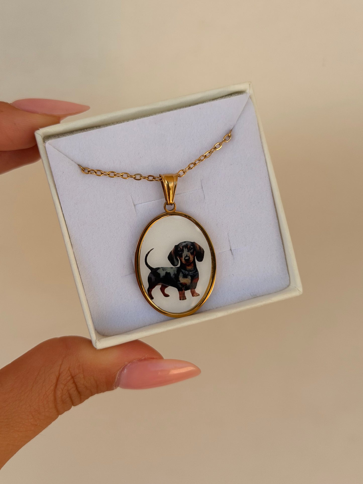 Collana BASSOTTO STUPENDO