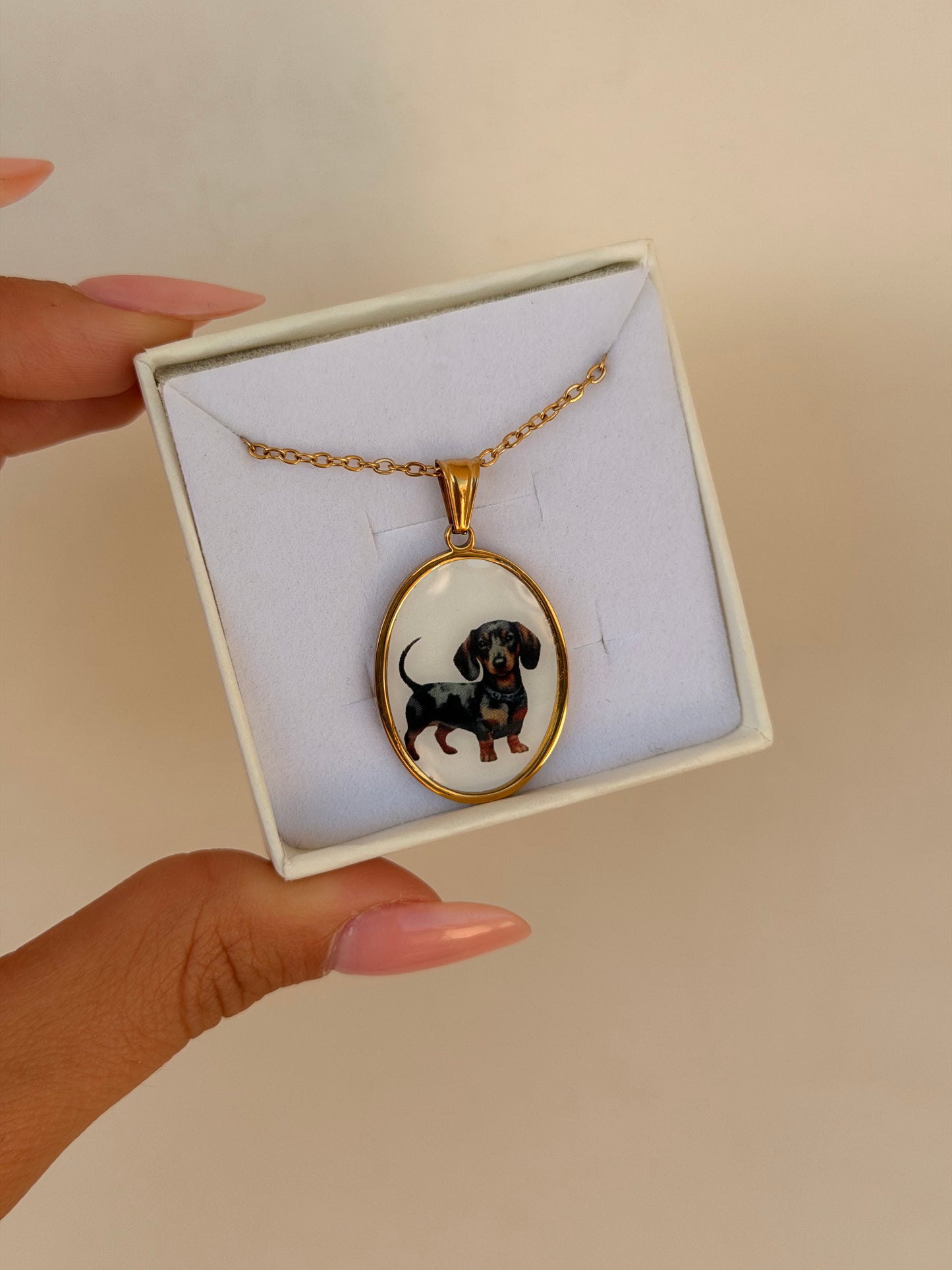 Collana BASSOTTO STUPENDO